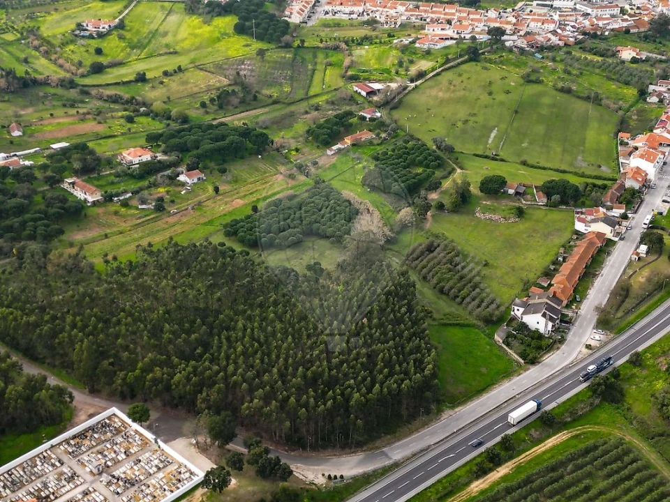 Terreno para Venda em Alcoentre Foto 2