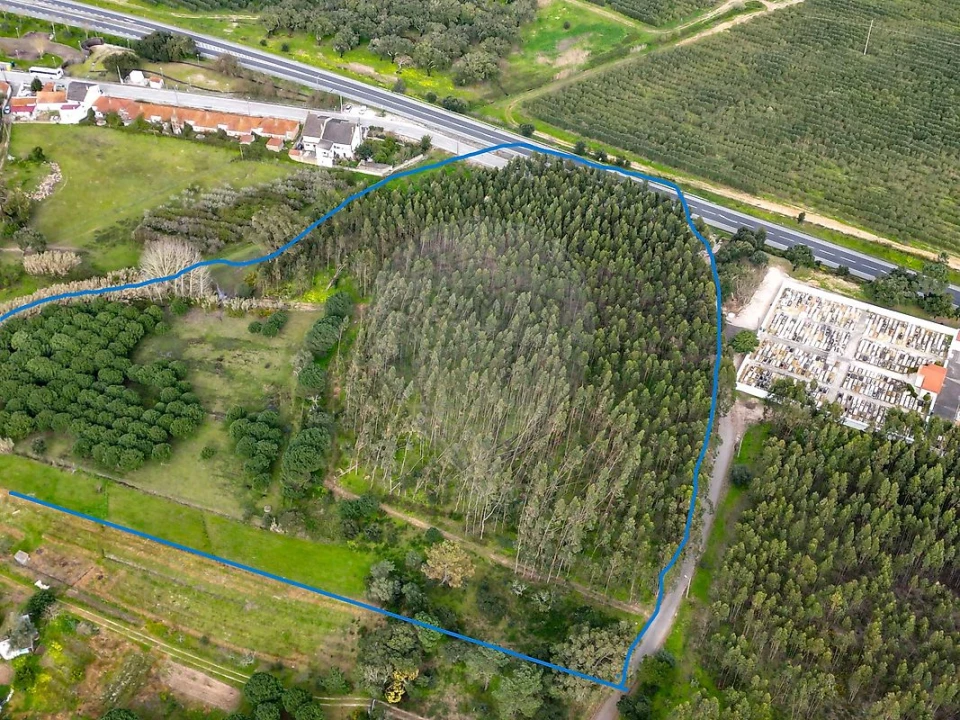 Terreno para Venda em Alcoentre Foto 1