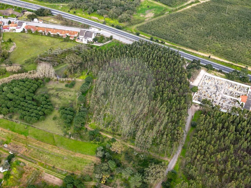 Terreno para Venda em Alcoentre Foto 4