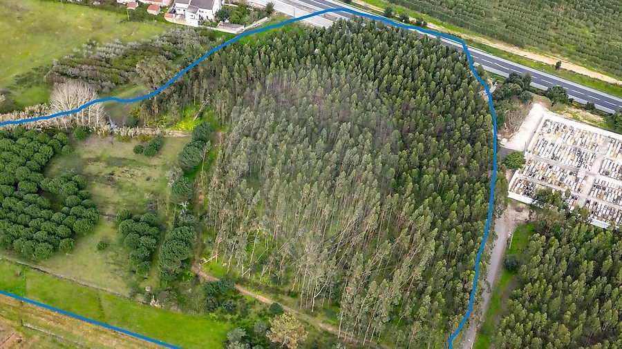 Terreno para Venda em Alcoentre