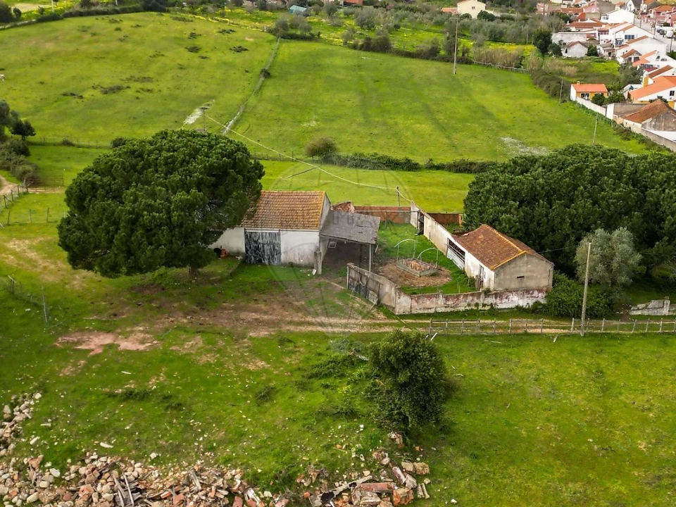 Prédio para Venda em Alcoentre Foto 16