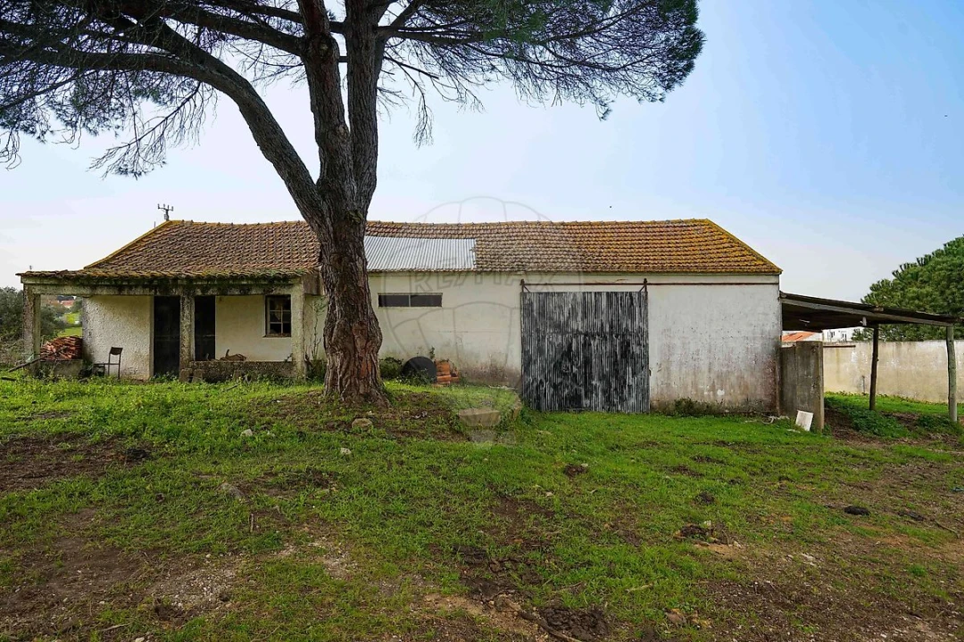 Prédio para Venda em Alcoentre Foto 20