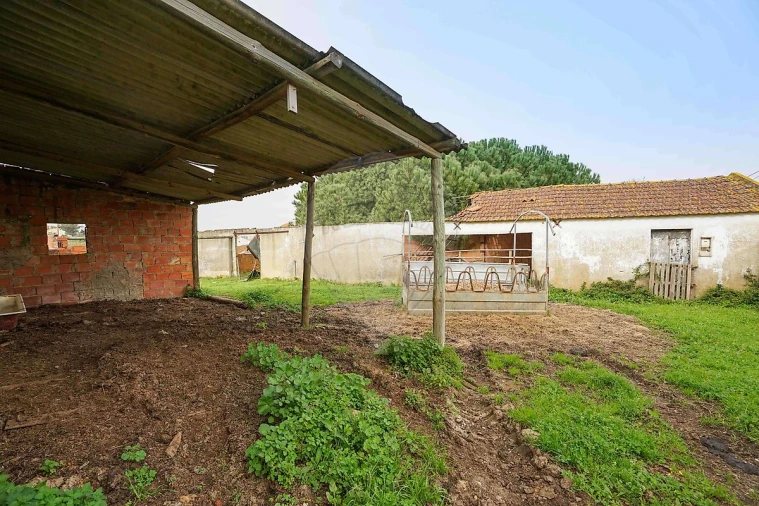 Prédio para Venda em Alcoentre Foto 18