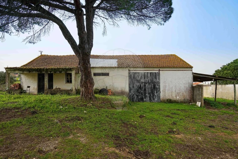 Prédio para Venda em Alcoentre Foto 20