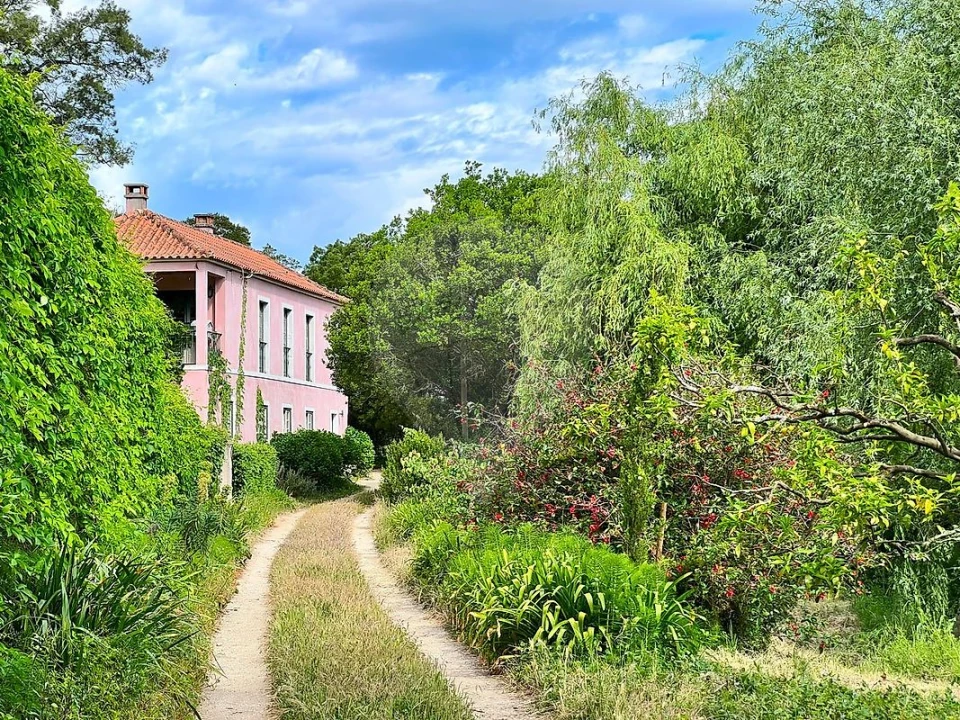 Quinta T15 para Venda em Maxial e Monte Redondo Foto 14