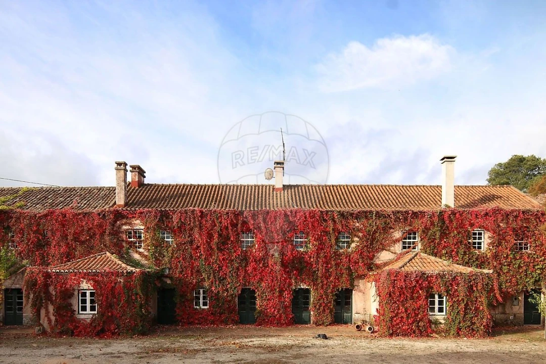 Quinta T15 para Venda em Maxial e Monte Redondo Foto 1