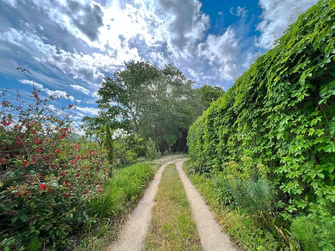 Quinta T15 para Venda em Maxial e Monte Redondo Foto 12