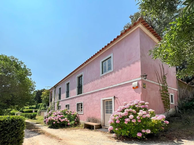 Quinta T15 para Venda em Maxial e Monte Redondo Foto 10