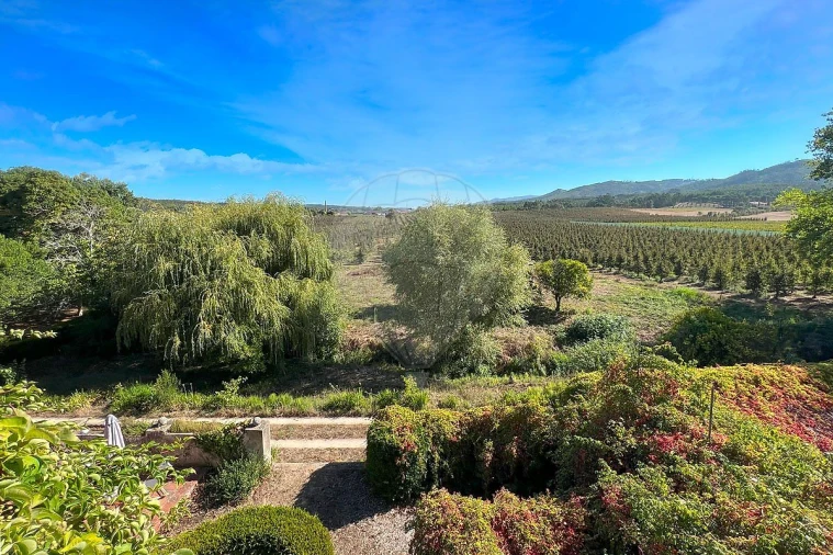 Quinta T15 para Venda em Maxial e Monte Redondo Foto 2