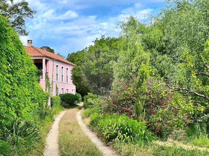 Quinta T15 para Venda em Maxial e Monte Redondo Foto 14