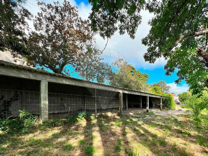 Quinta T15 para Venda em Maxial e Monte Redondo Foto 26