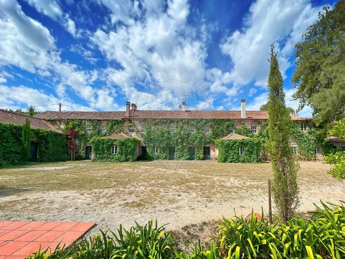 Quinta T15 para Venda em Maxial e Monte Redondo Foto 4