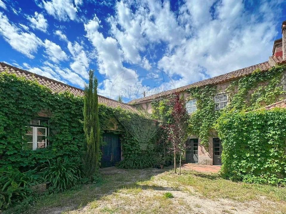 Quinta T15 para Venda em Maxial e Monte Redondo Foto 7