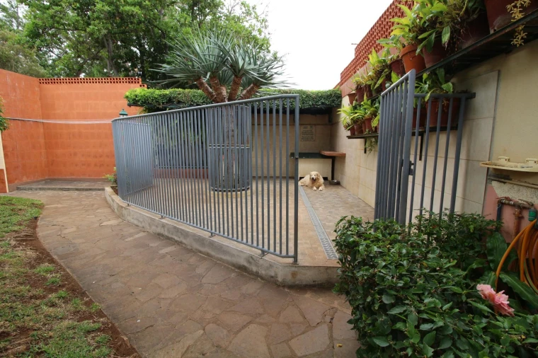 Moradia T3 para Venda em Funchal (Santa Maria Maior) Foto 37