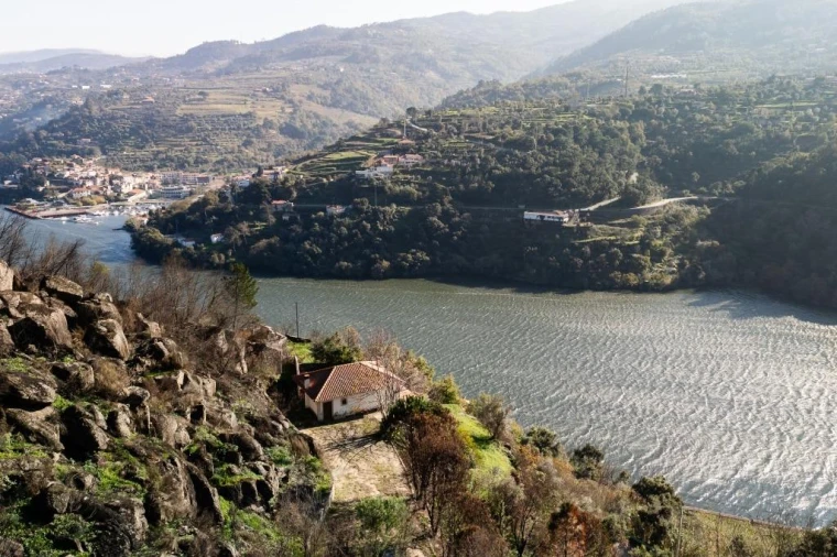 Moradia T2 para Venda em Ancede e Ribadouro Foto 29