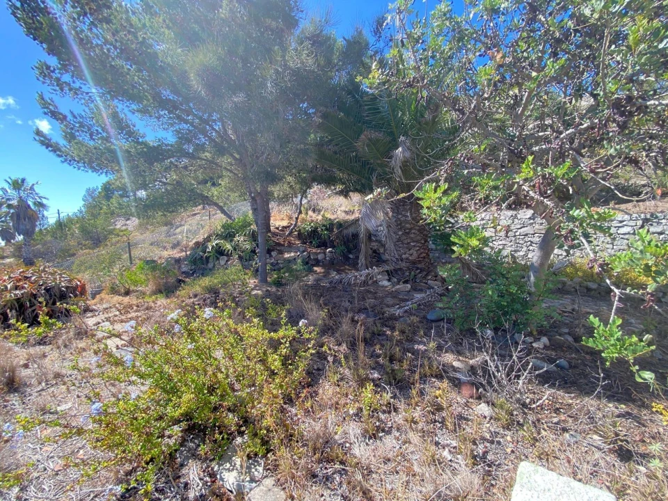 Moradia T2 para Venda em Porto Santo Foto 22