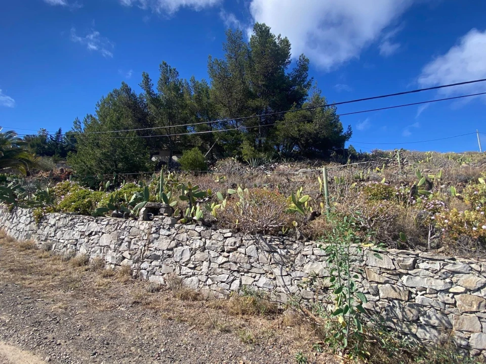 Moradia T2 para Venda em Porto Santo Foto 31