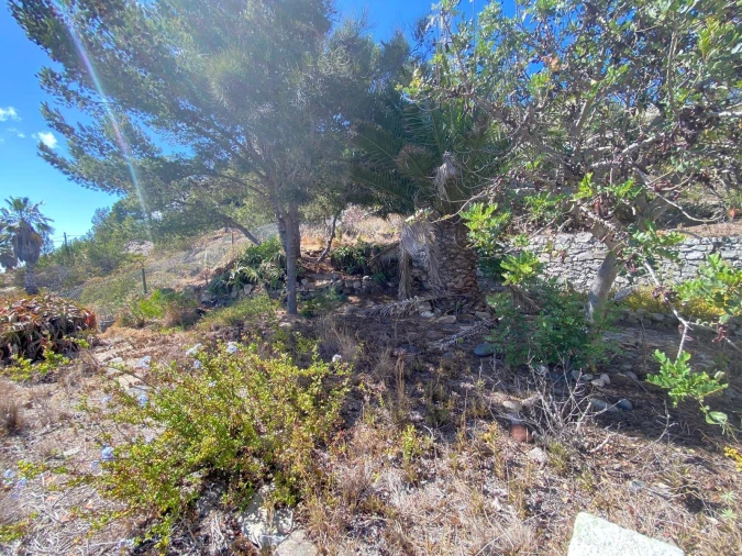 Moradia T2 para Venda em Porto Santo Foto 22