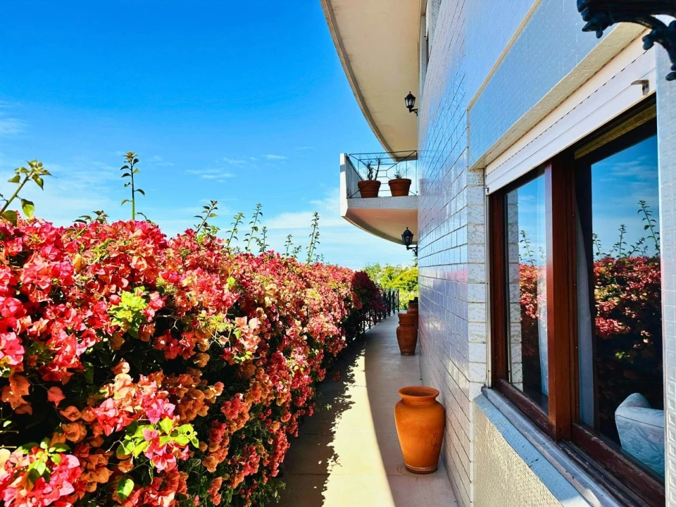 Moradia T4 para Venda em Funchal (Santa Maria Maior) Foto 6