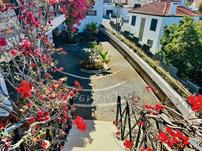 Moradia T4 para Venda em Funchal (Santa Maria Maior) Foto 18