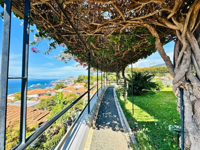 Moradia T4 para Venda em Funchal (Santa Maria Maior) Foto 22