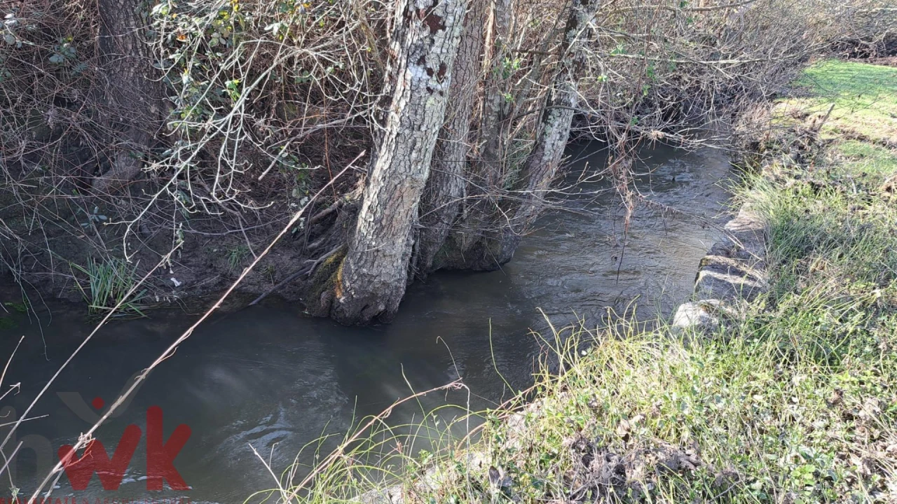 Terreno para Venda em Covas e Vila Nova de Oliveirinha Foto 3