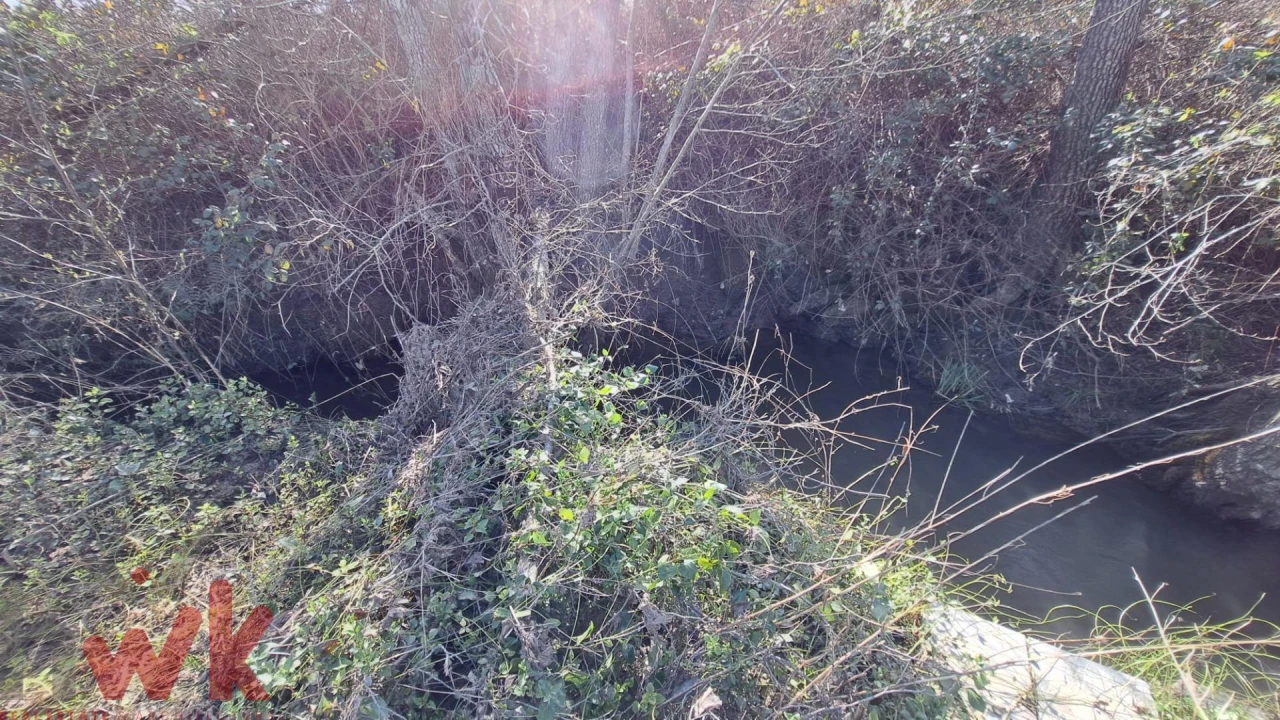Terreno para Venda em Covas e Vila Nova de Oliveirinha Foto 5