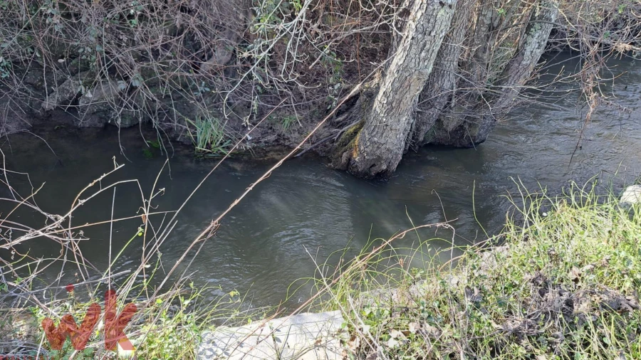 Terreno para Venda em Covas e Vila Nova de Oliveirinha Foto 9