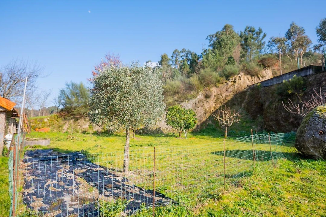 Moradia T4 para Venda em Basto (São Clemente) Foto 36