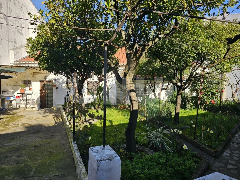 Moradia T3 para Venda em Castelo Branco Foto 3