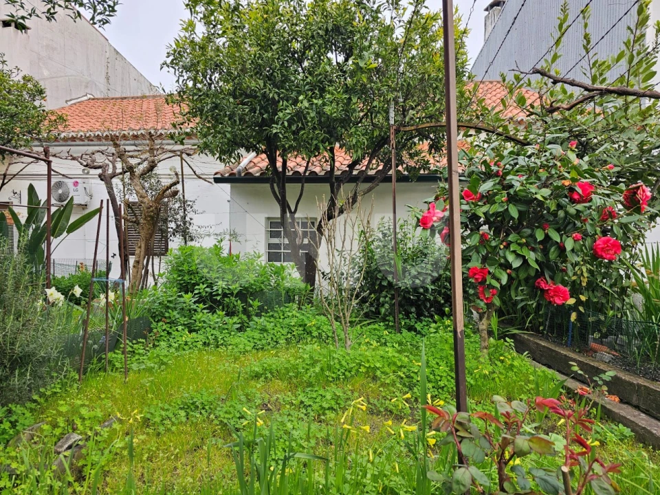 Moradia T3 para Venda em Castelo Branco Foto 35