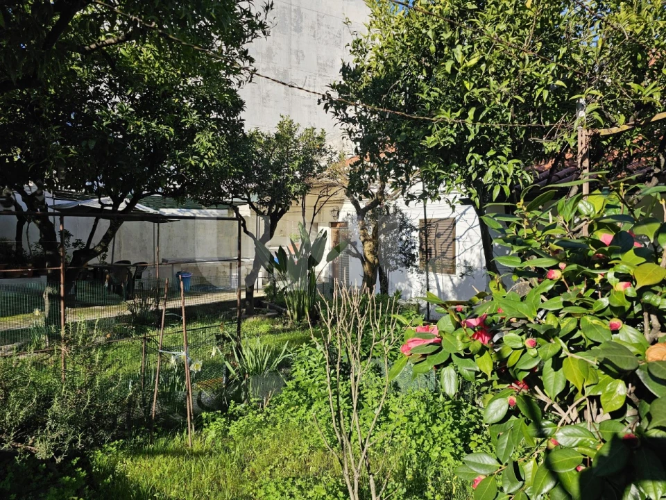 Moradia T3 para Venda em Castelo Branco Foto 36