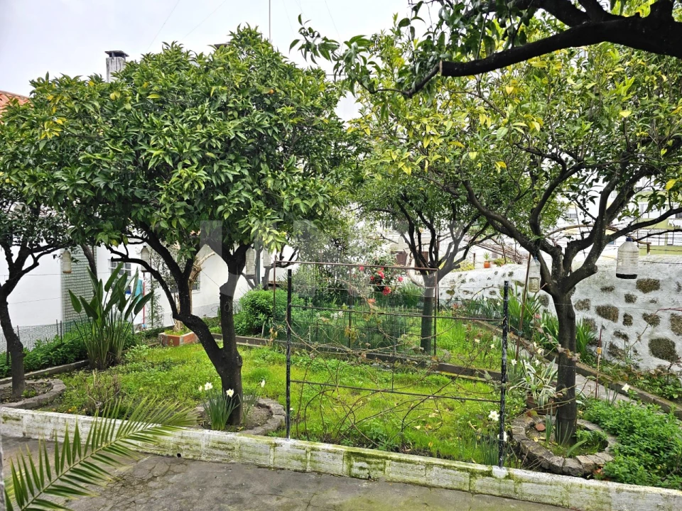 Moradia T3 para Venda em Castelo Branco Foto 4