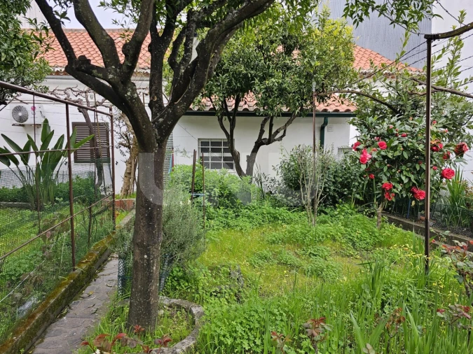 Moradia T3 para Venda em Castelo Branco