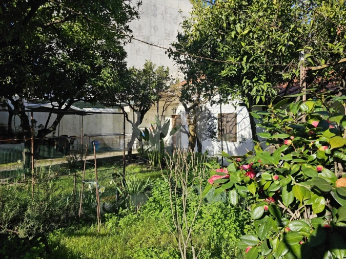 Moradia T3 para Venda em Castelo Branco Foto 36