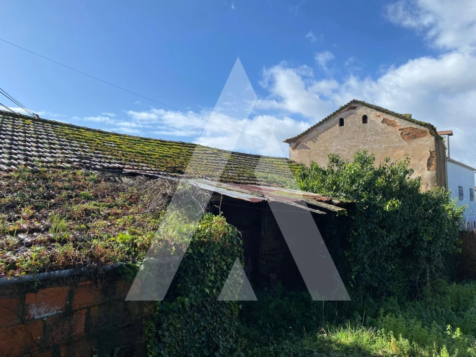 Moradia T2 para Venda em Angeja Foto 2