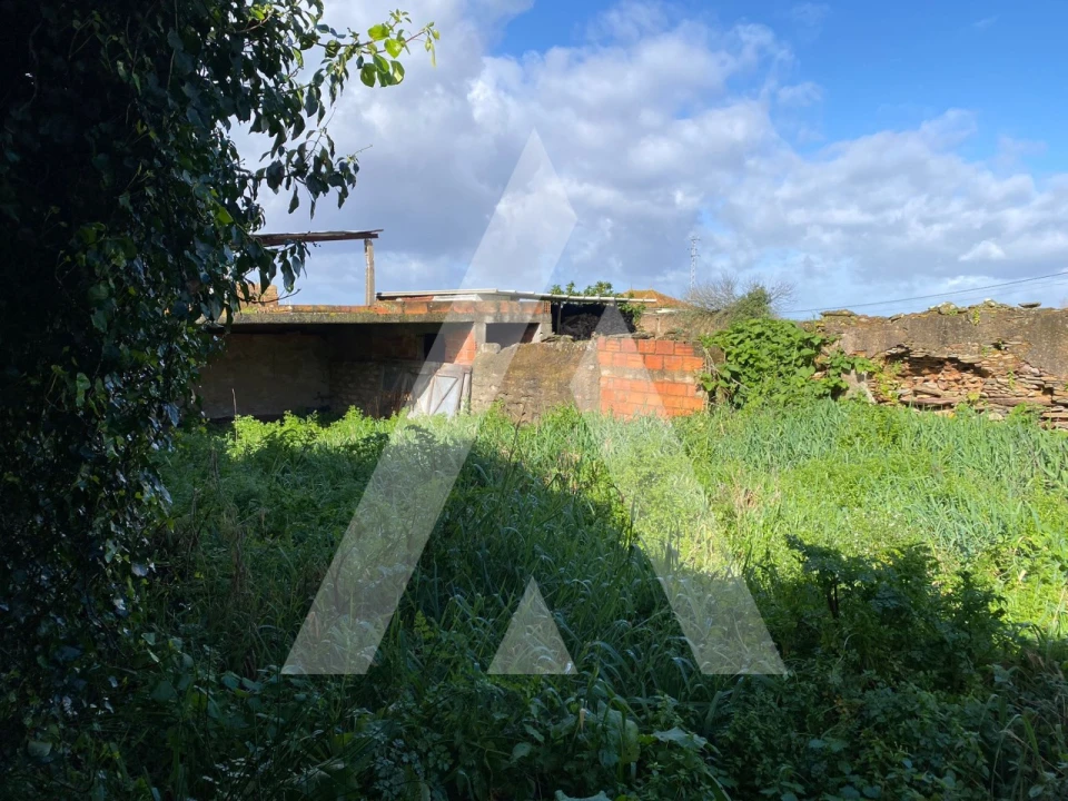 Moradia T2 para Venda em Angeja Foto 5