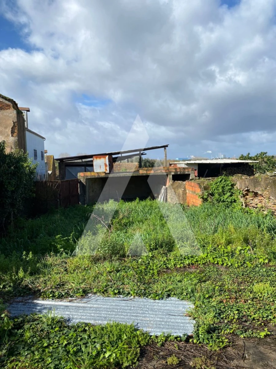 Moradia T2 para Venda em Angeja Foto 4