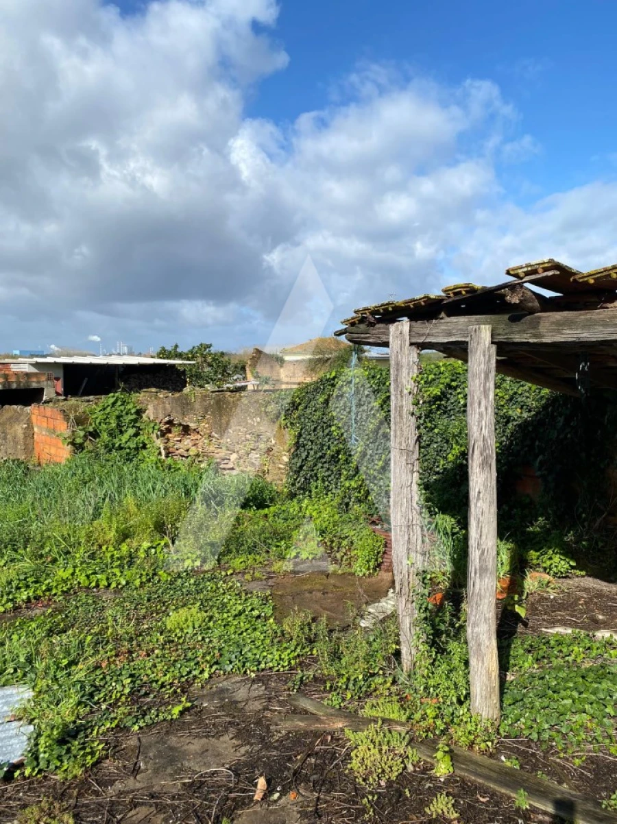 Moradia T2 para Venda em Angeja Foto 9