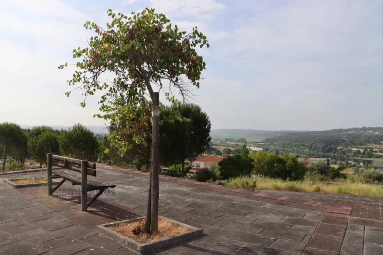 Terreno para Venda em Constancia Foto 1