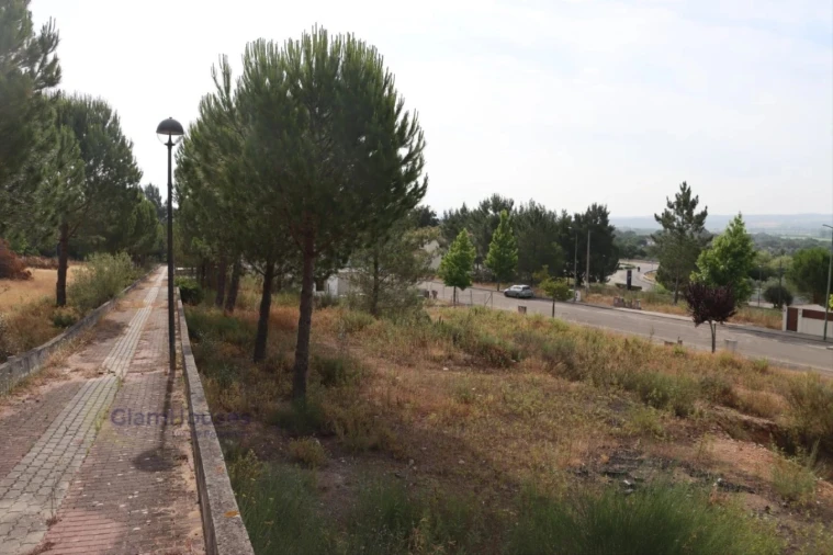 Terreno para Venda em Constancia Foto 5