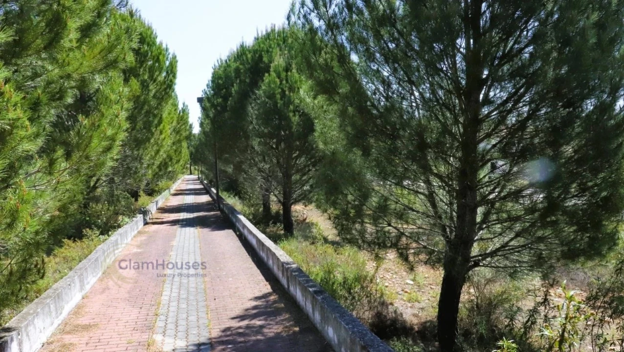 Terreno para Venda em Constancia Foto 3