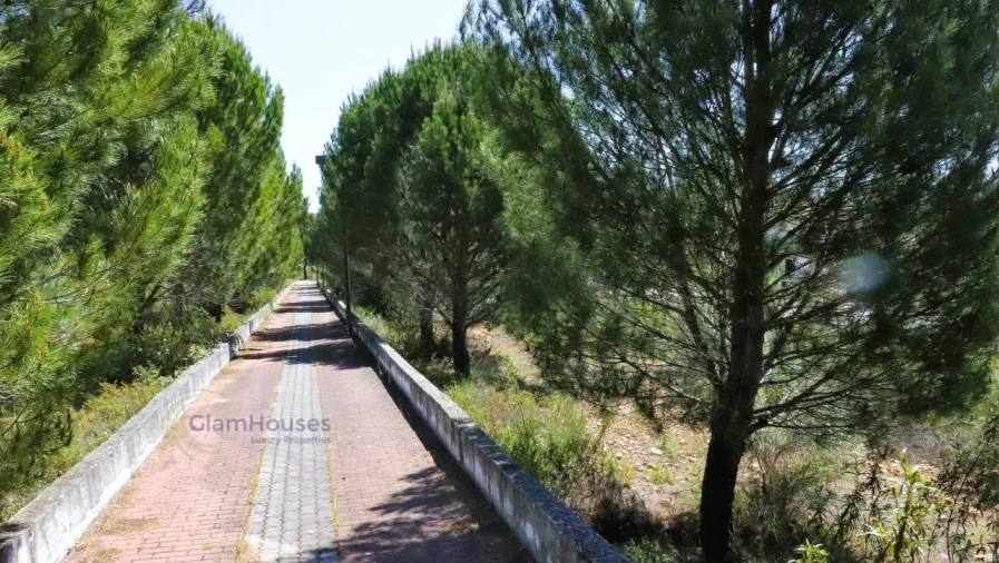 Terreno para Venda em Constancia Foto 3