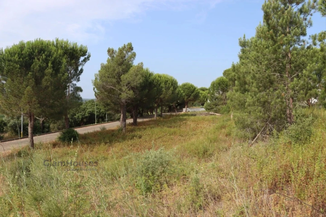 Terreno para Venda em Constancia Foto 1