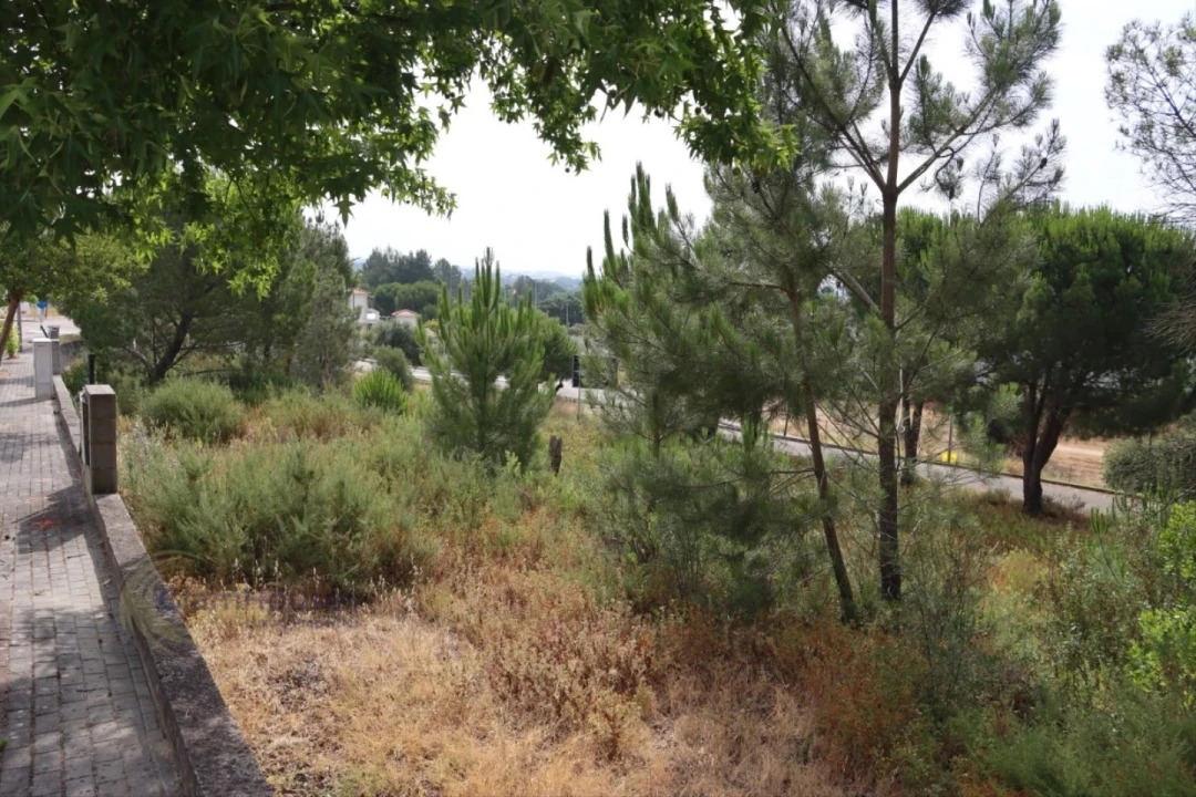 Terreno para Venda em Constancia Foto 2