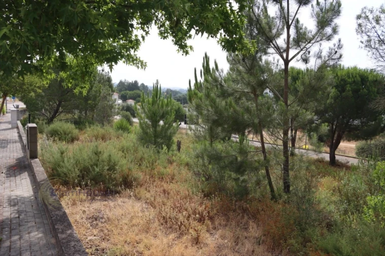 Terreno para Venda em Constancia Foto 2