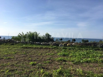 Terreno Agricola ou Rústico para Venda em Vila Praia de Ancora