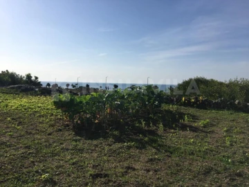 Terreno Agricola ou Rústico para Venda em Vila Praia de Ancora