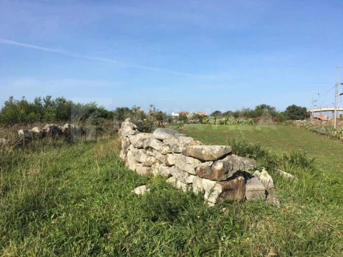Terreno Agricola ou Rústico para Venda em Vila Praia de Ancora Foto 8