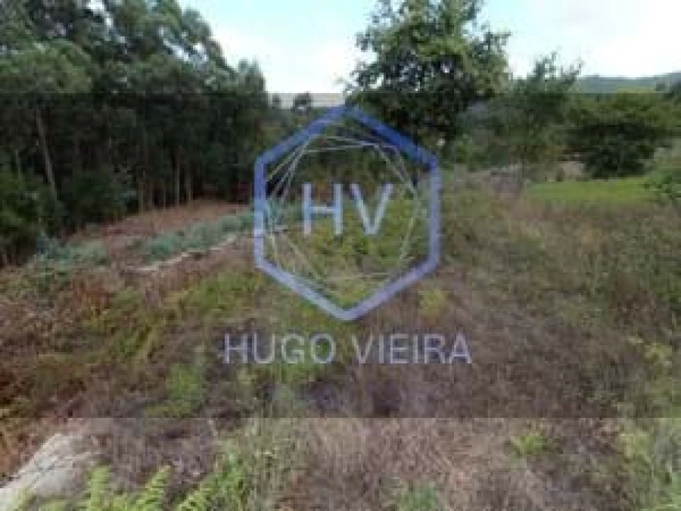 Moradia T1 para Venda em Afife Foto 13